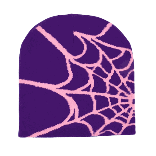 Spider Web Beanie